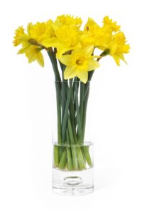bouquet jonquilles