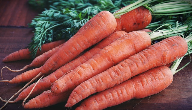 Comment procéder pour semer des carottes ?