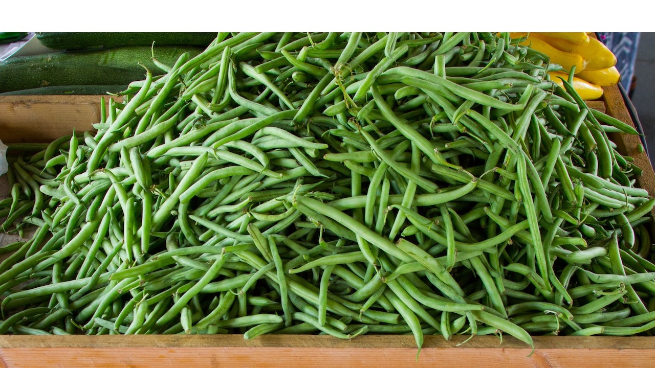 Astuces de culture pour les haricots verts !