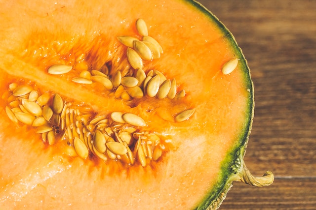 Comment procéder pour semer du melon ?