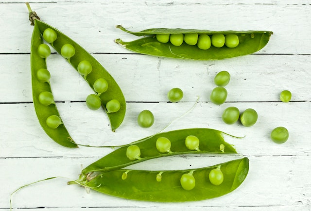 Comment procéder pour semer des petits pois ?