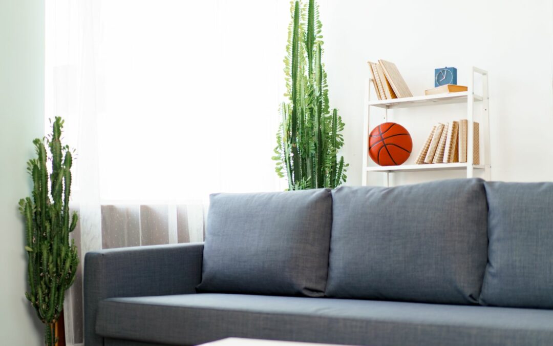 Comment décorer son salon avec des plantes ?