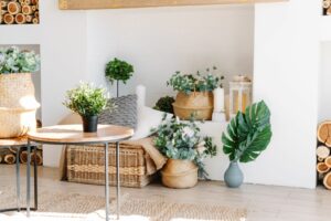 Différentes plantes dans un salon