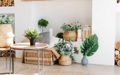 Comment disposer ses plantes dans le salon ?