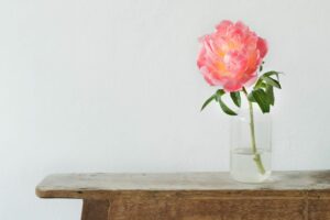 Rose dans un soliflore
