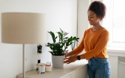 Quelle plante pour un appartement ?