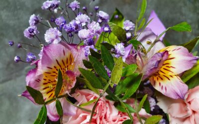 Les alstroemerias : conseils pour un bouquet durable et vibrant