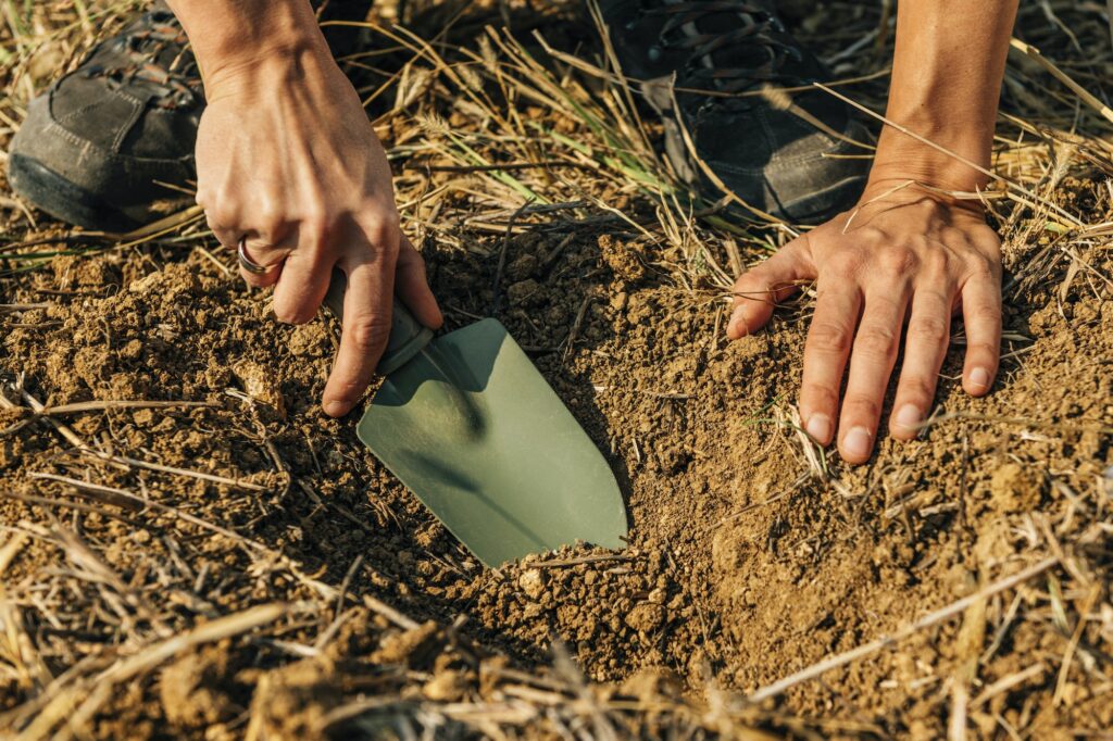 Sélectionner le bon emplacement avec le sol adéquat