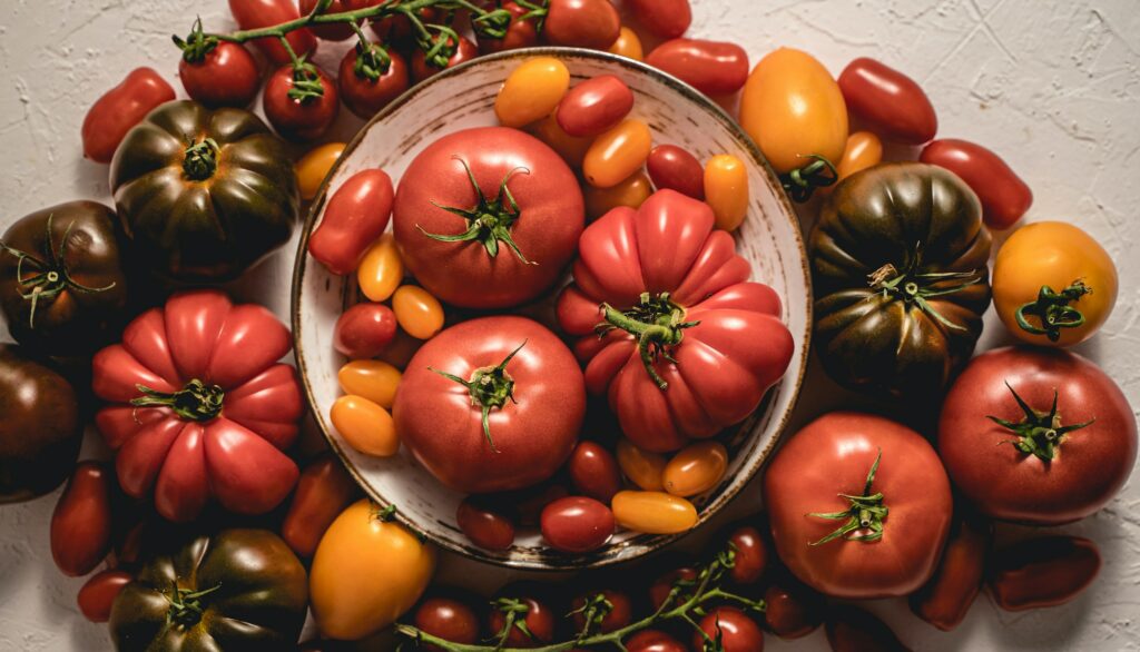 Différentes variétés de tomates